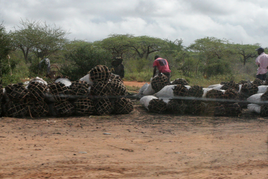 Up in Smoke Kenya's Charcoal Industry Woodworking Blog Videos