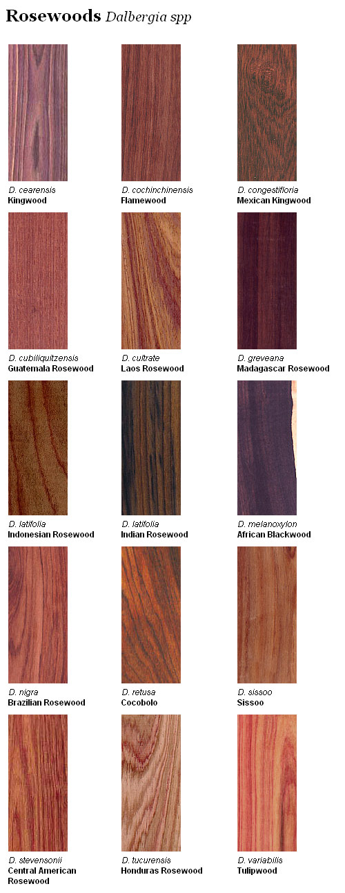 Rosewood From Around the Globe Woodworkers Source Blog