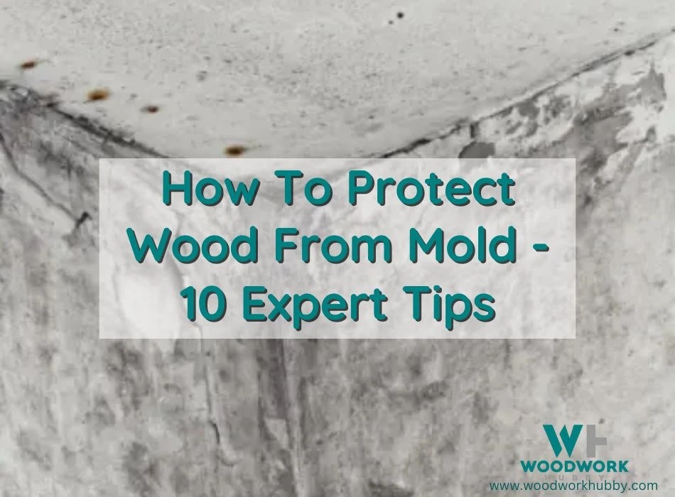 How To Protect Wood From Mold 10 Expert Tips