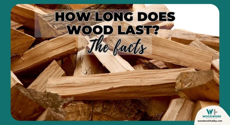 How Long Does Wood Last? The Facts!