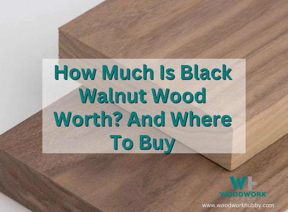 How Much Is Black Walnut Wood Worth? And Where To Buy