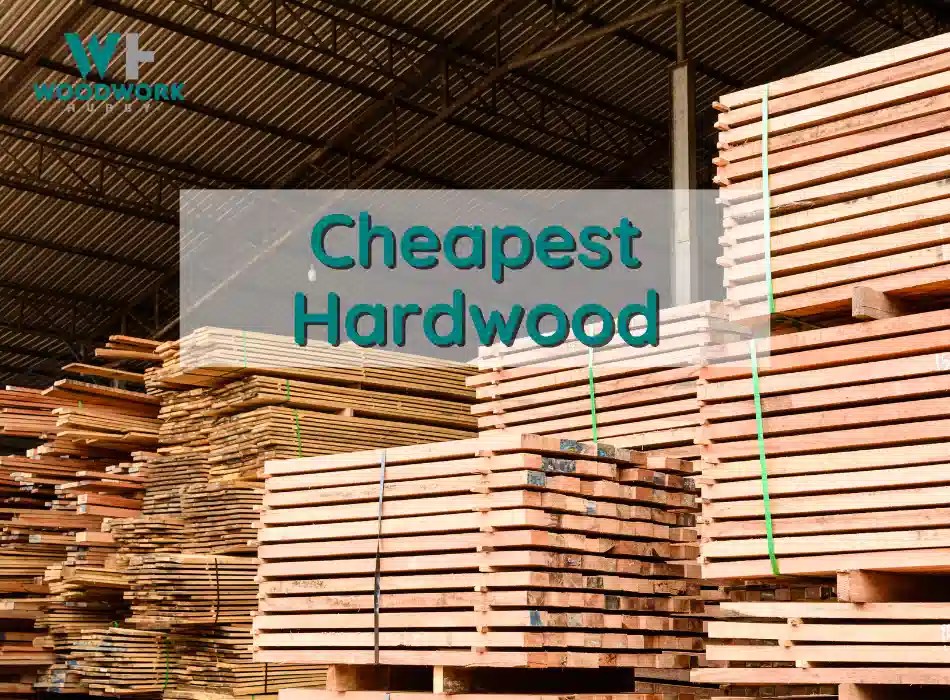 What Is the Least Expensive Hardwood? In Order