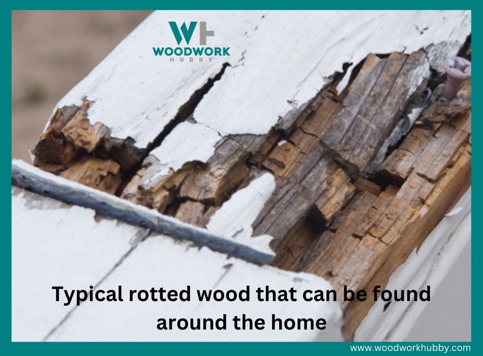How To Repair Rotted Wood Learn How to Fix Like A Pro!