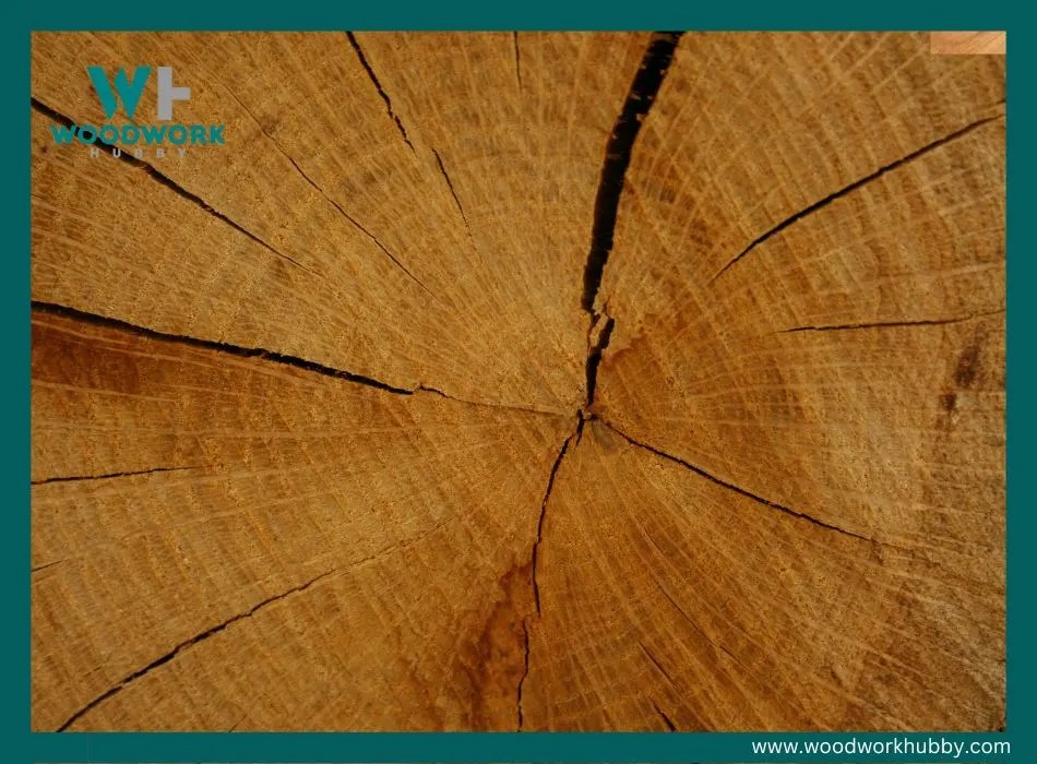 How To Keep Wood From Splitting (Best Options For 2023)