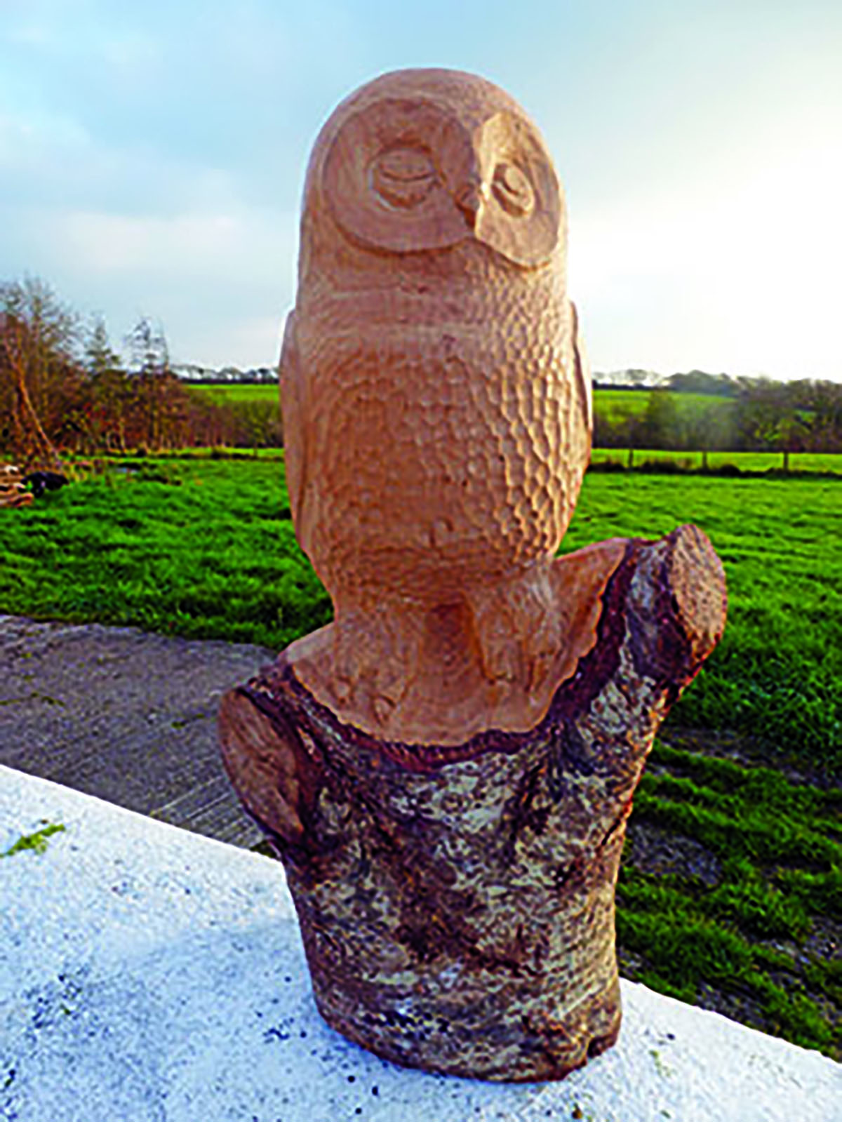 Alder Owl Woodworking Institute