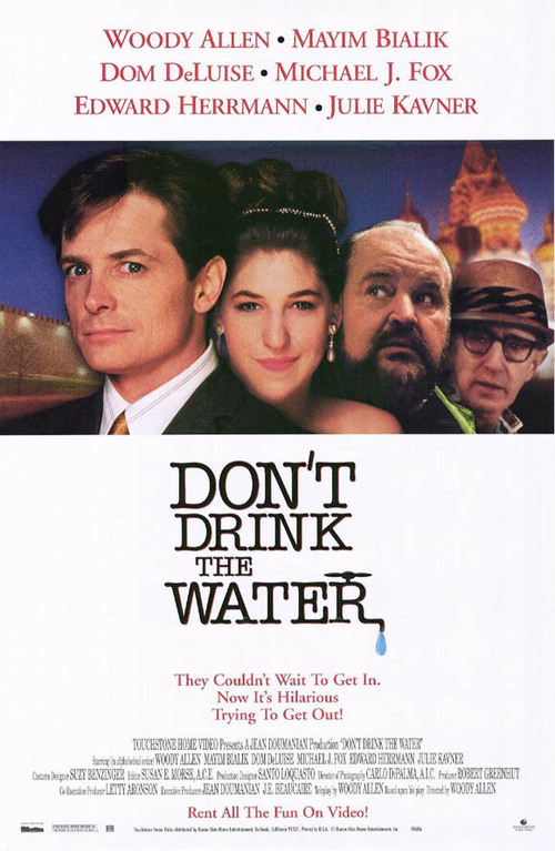 Don’t Drink the Water The Woody Allen Pages