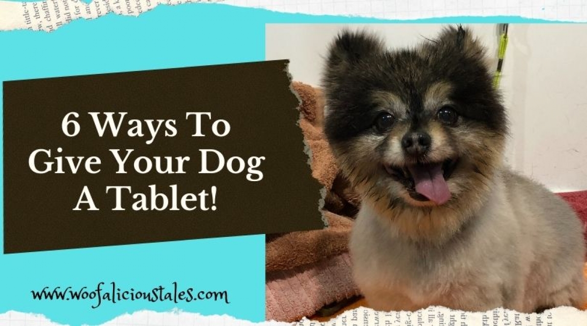 6 Ways To Give Your Dog A Tablet! Woofalicious Tales
