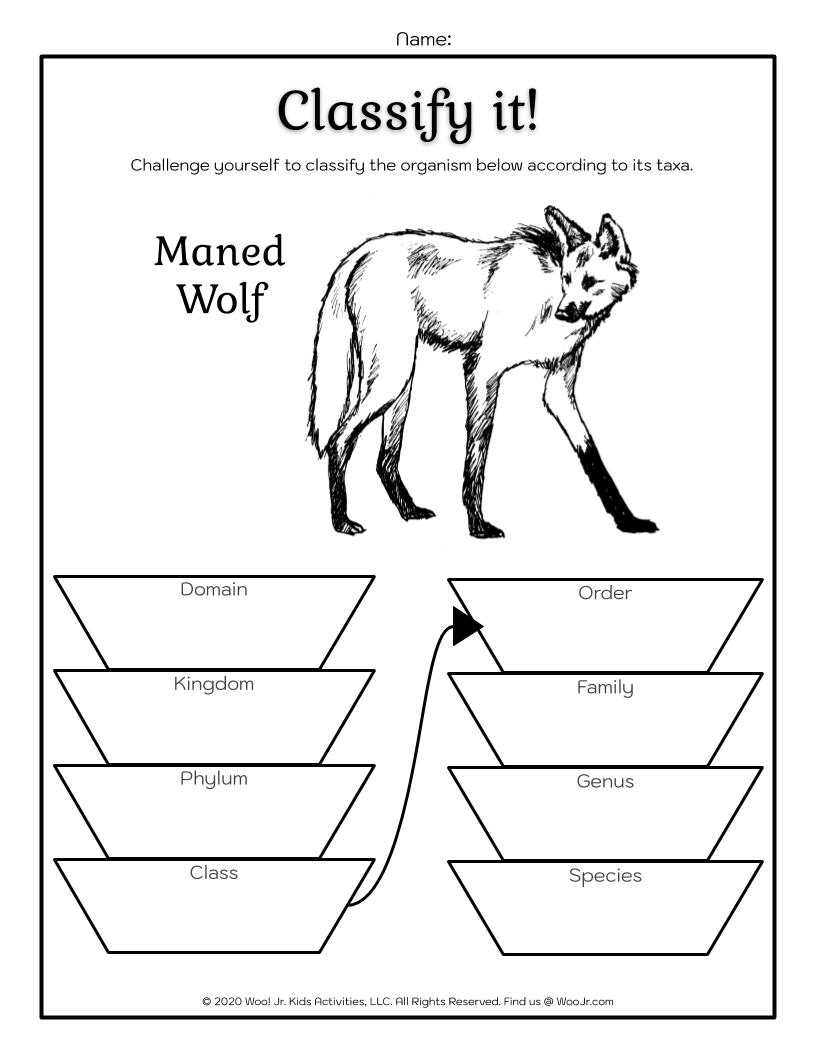 Wolf Taxonomy Classification Worksheet Woo! Jr. Kids Activities