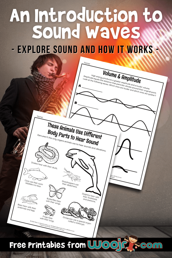 The Nature Of Sound Waves Worksheet Answers The Nature Of Sound Waves
