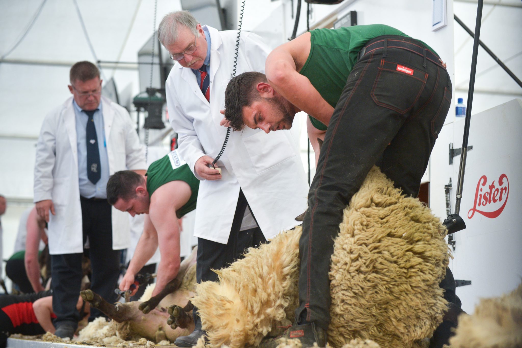 Shearing Medals & Prizes Worshipful Company of Woolmen