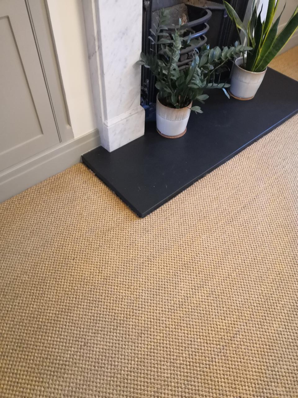 Sisal and Viscose Advanced Stain Removal and Colour Restoration