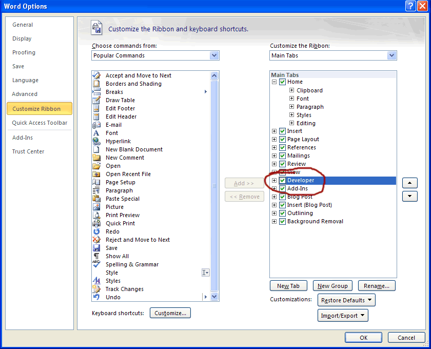 Show The Developer Tab In Microsoft Word 2010