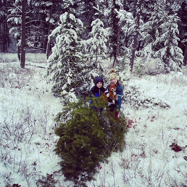 Worden Thane Thanksgiving Traditions Worden Thane