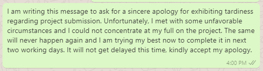 Apology Messages for Delay in Project Completion Word & Excel Templates