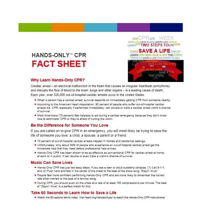 10 Fact Sheet Templates Excel PDF Formats