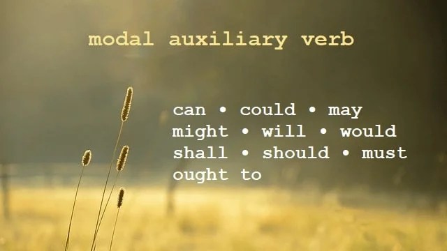 Modal Auxiliary Verb Pengertian Fungsi Contoh Kalimat Bahasa Inggris