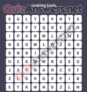 PAN SPOON KNIFE STOVE SKILLET MICROWAVE