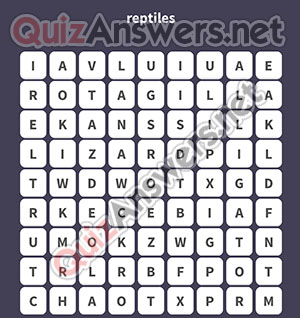 SNAKE LIZARD TURTLE ALLIGATOR CROCODILE