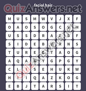 BEARD GOATEE EYEBROW SIDEBURNS MOUSTACHE