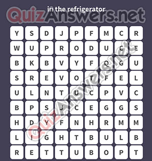 EGGS BUTTER PRODUCE KETCHUP LEFTOUVERS LIGHTBULB