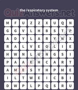 LUNGS LARYNX ALVEOLI BRONCHI TRACHEA DIAPHRAGM EMPHYSEMA
