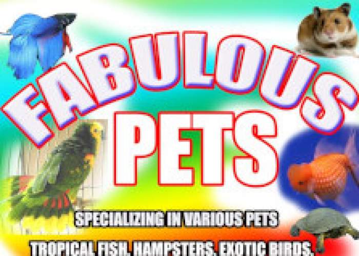 Pet Supplies in Jamaica
