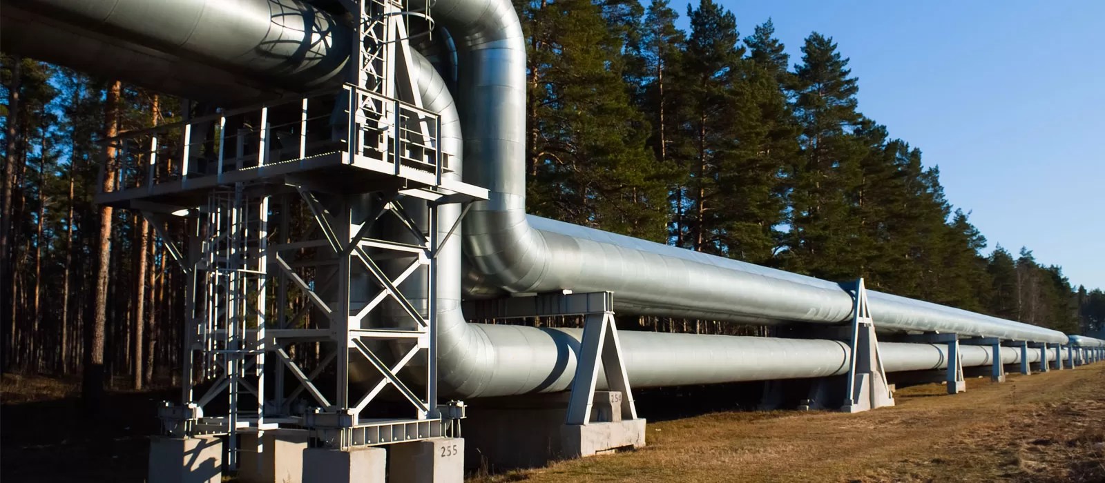 Permanent & Temp Jobs In Edmonton WORKFORCE