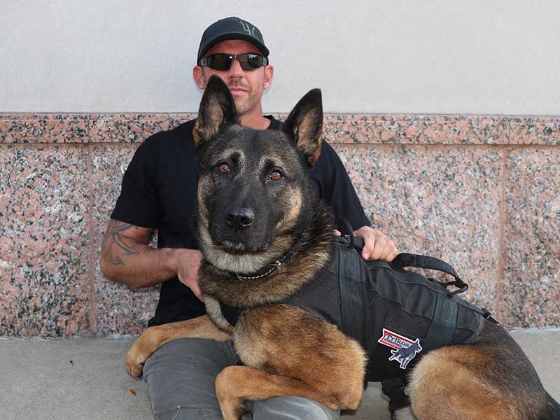 Let's Train Mike Ritland's Team Dog Online Training Working Dog