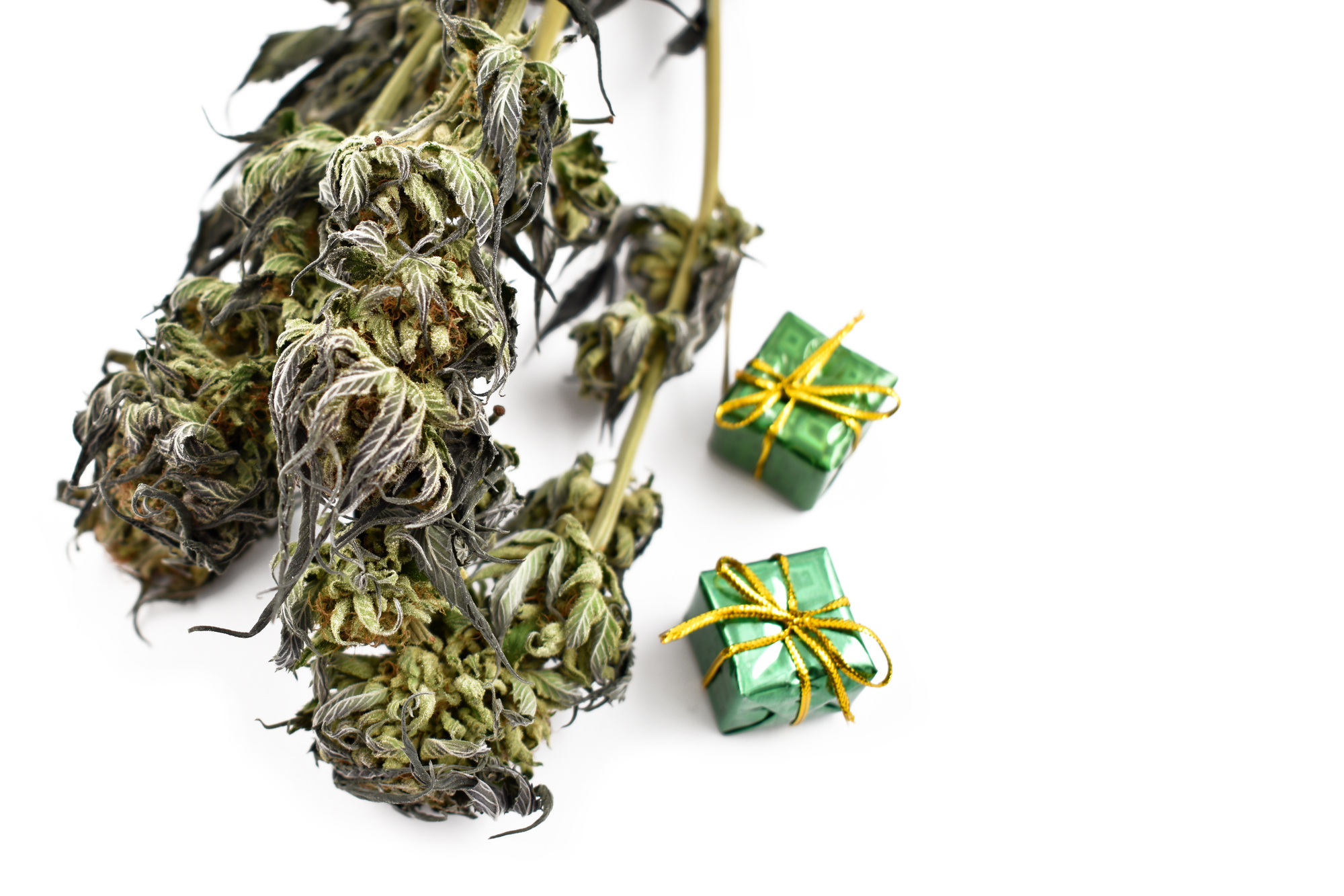 The Best Marijuana Gifts for Marijuana Lovers