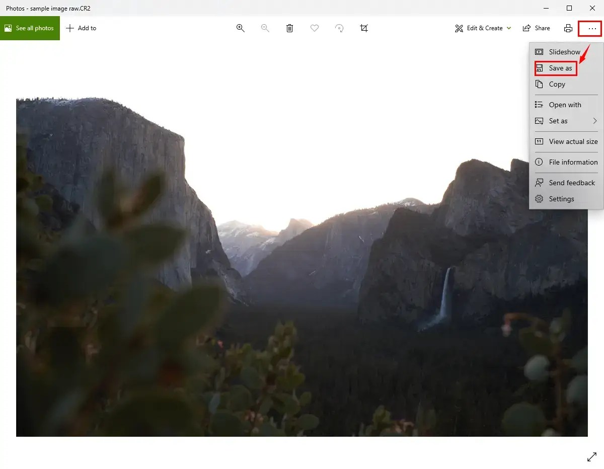 How to Convert RAW to JPEG on Windows [4 Free Solutions]