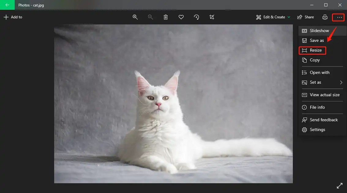 How to Reduce Picture File Size on iPhone/Windows/Mac Free 2024