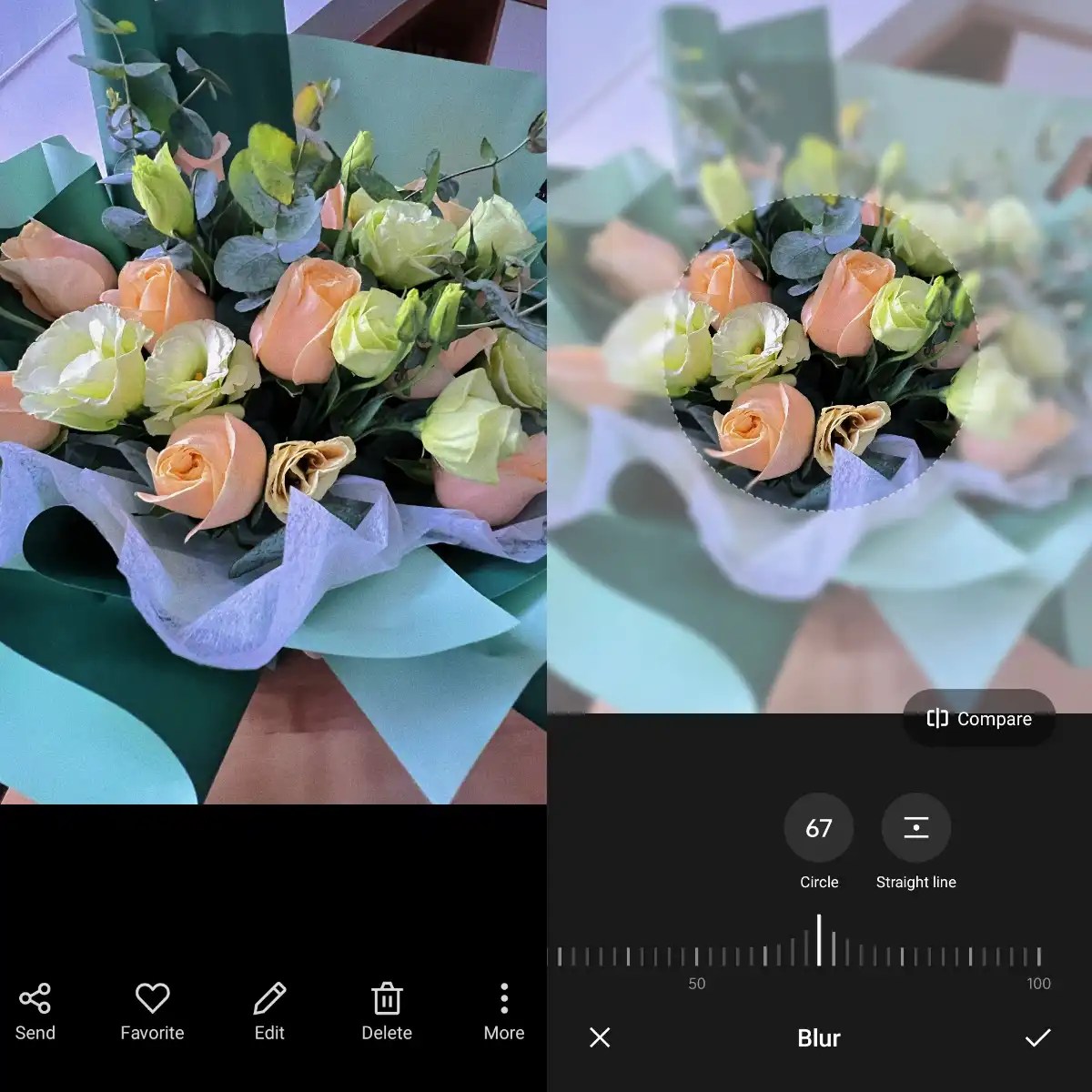 How to Blur the Background of a Picture on iPhone, Android, or PC