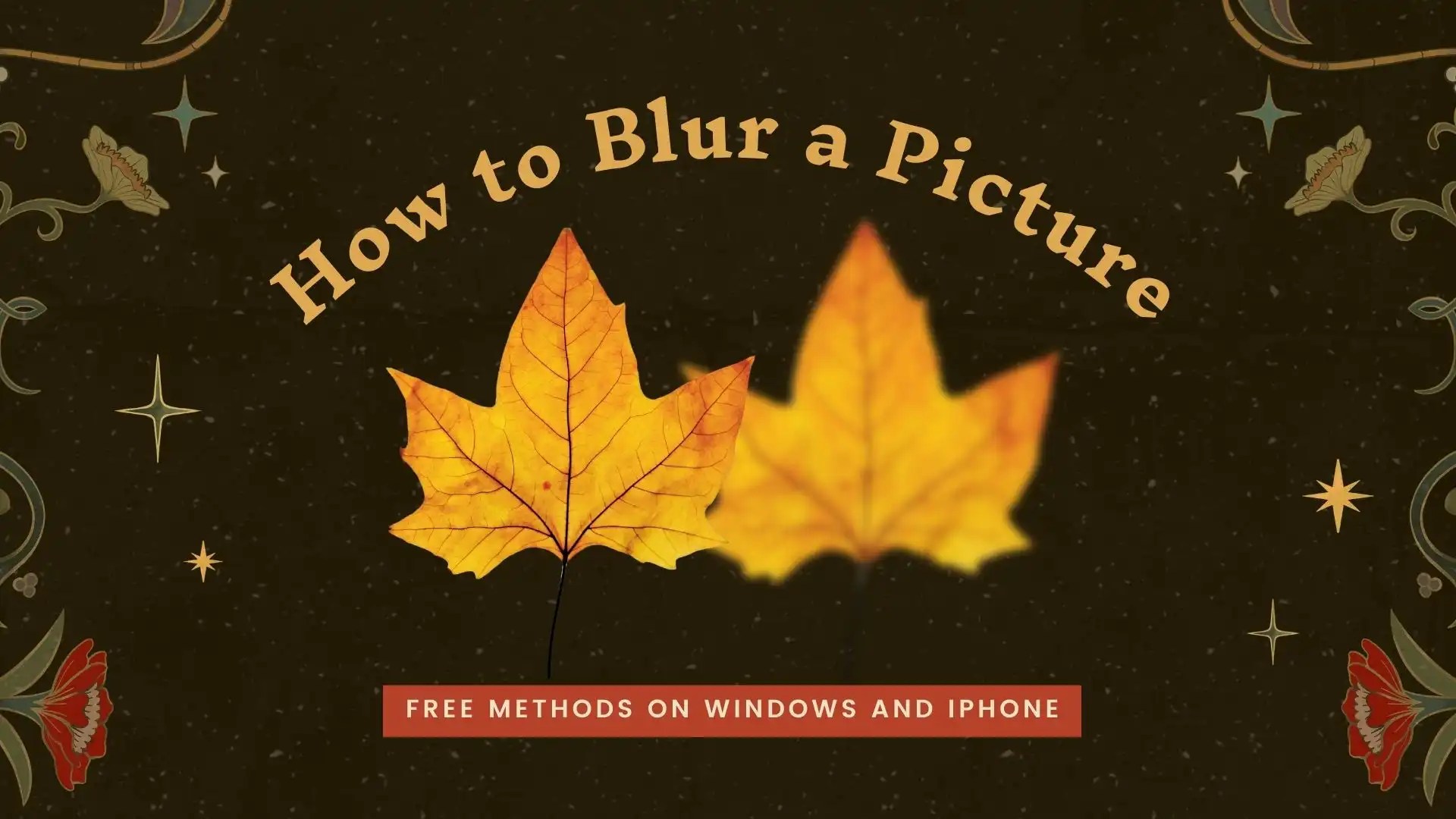 How to Blur a Picture for Free on Windows and iPhone WorkinTool