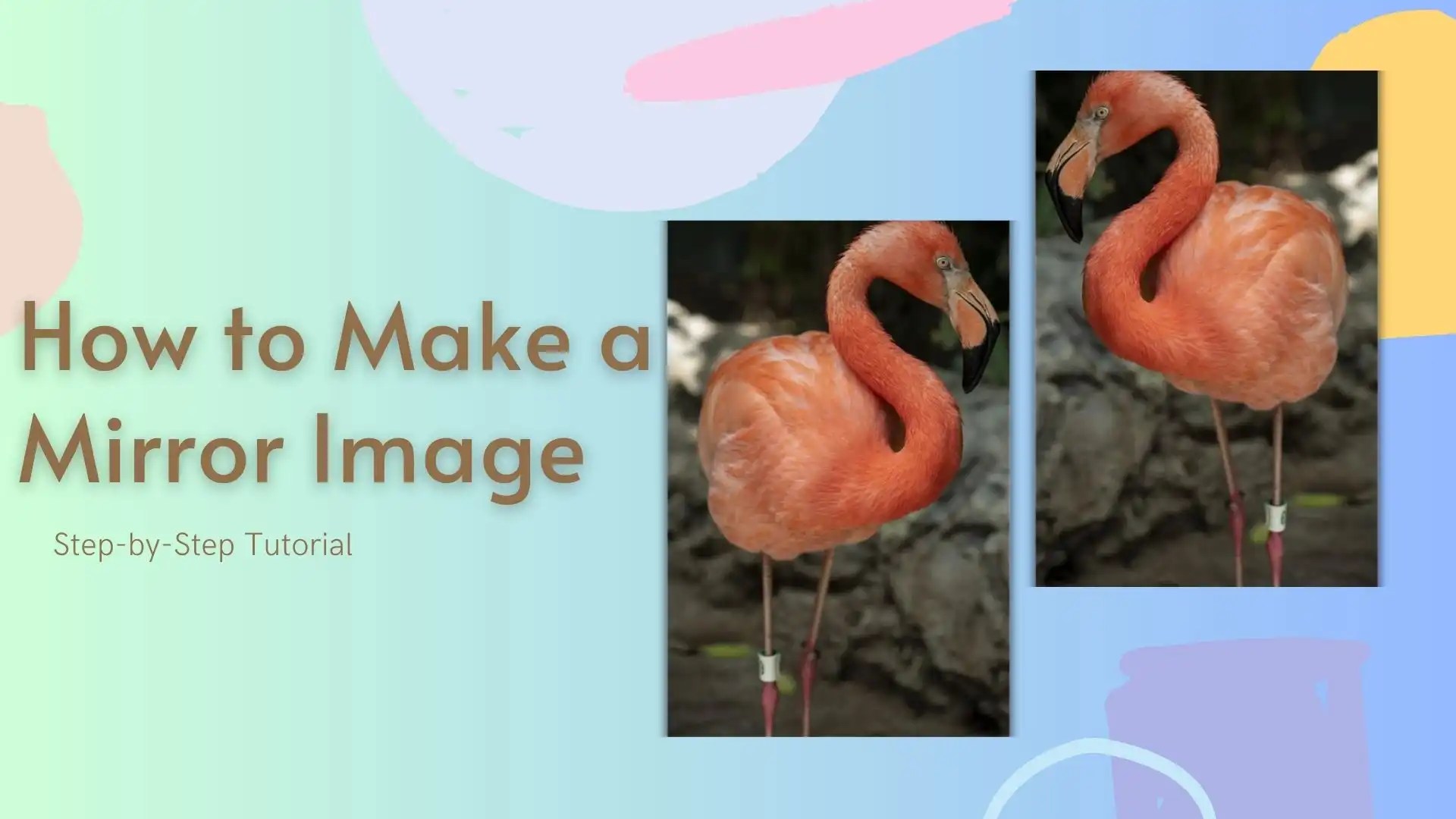 How to Mirror an Image StepbyStep Tutorial WorkinTool