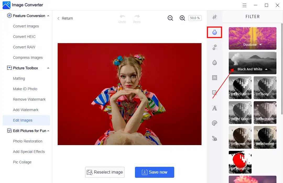 [Best Solutions] How to Make a Photo Black and White WorkinTool