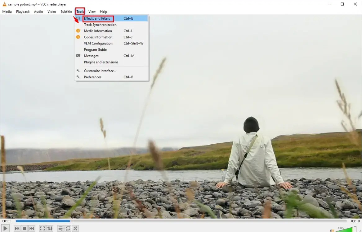 How to Mirror a Video on Windows, Mac and Online 5 Ways WorkinTool