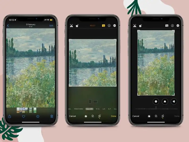 How to Crop a Photo on iPhone, Android, Windows, and Mac WorkinTool