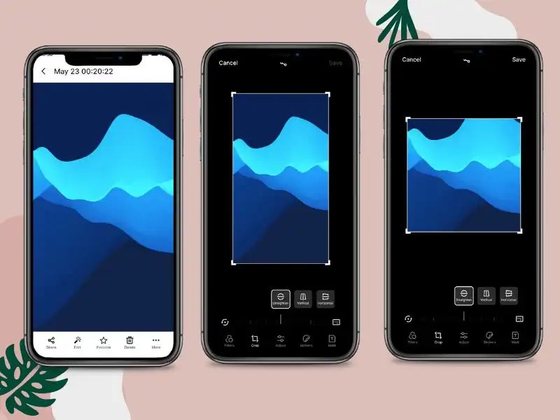 How to Crop a Photo on iPhone, Android, Windows, and Mac WorkinTool