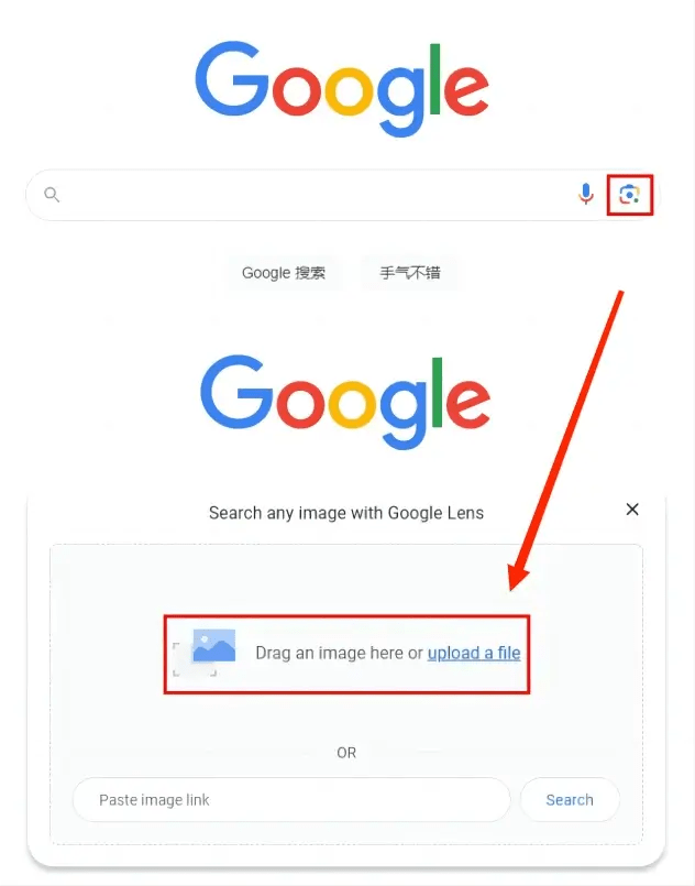 How to Identify an Animal from a Picture on Phone/PC 2024 WorkinTool