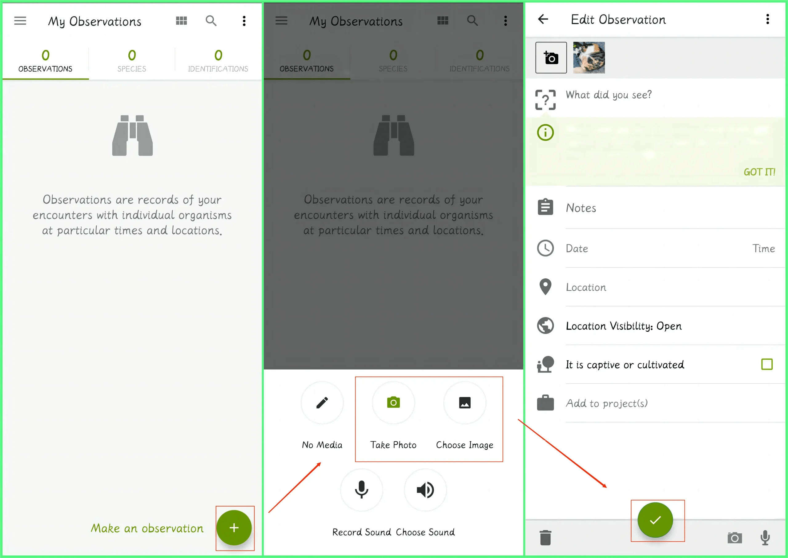 How to Identify an Animal from a Picture on Phone/PC 2024 WorkinTool