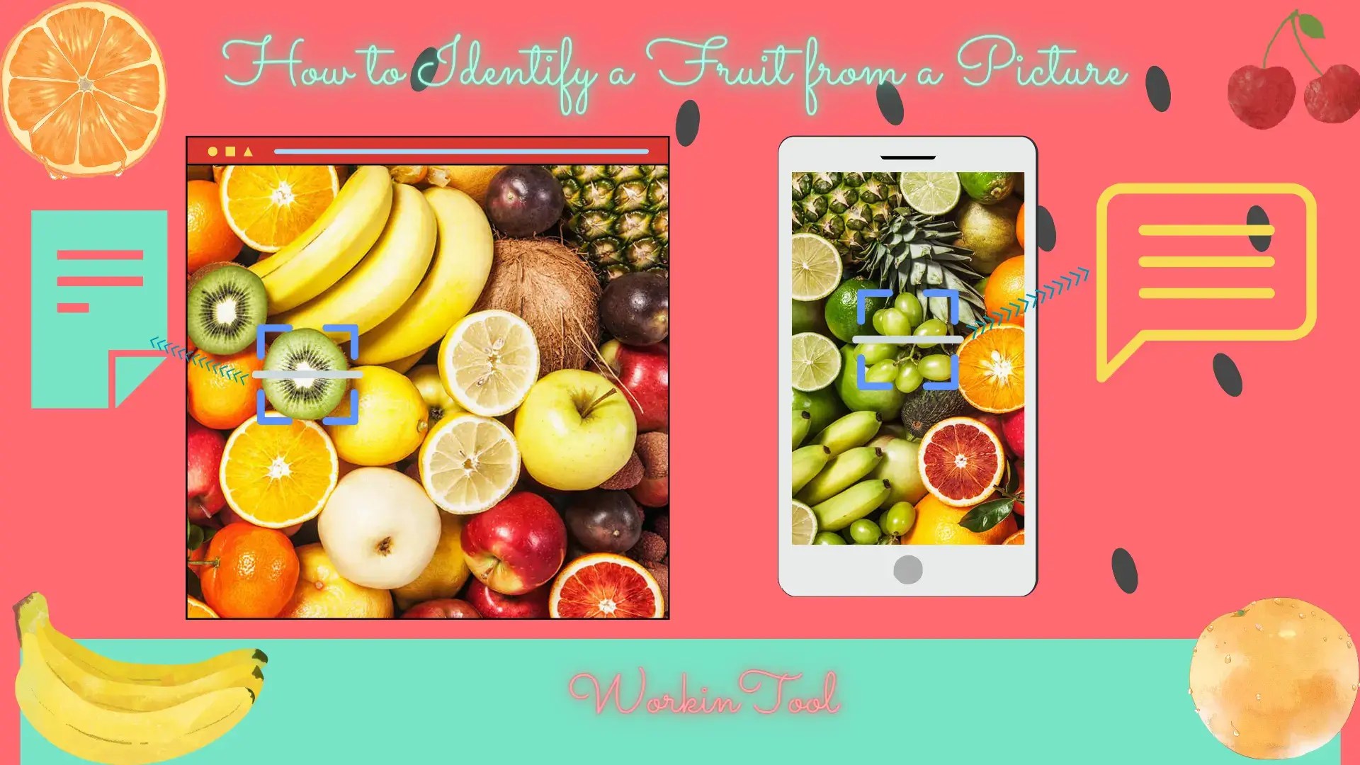 How to Identify a Fruit from a Picture on PC/Phone in 2024 WorkinTool