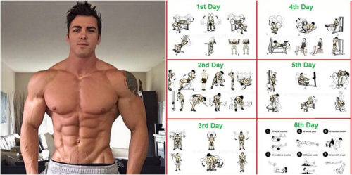 Total Body Workout Routine And How To Set Up Workouts Total Body Workout Routine And How To Set Up Workouts