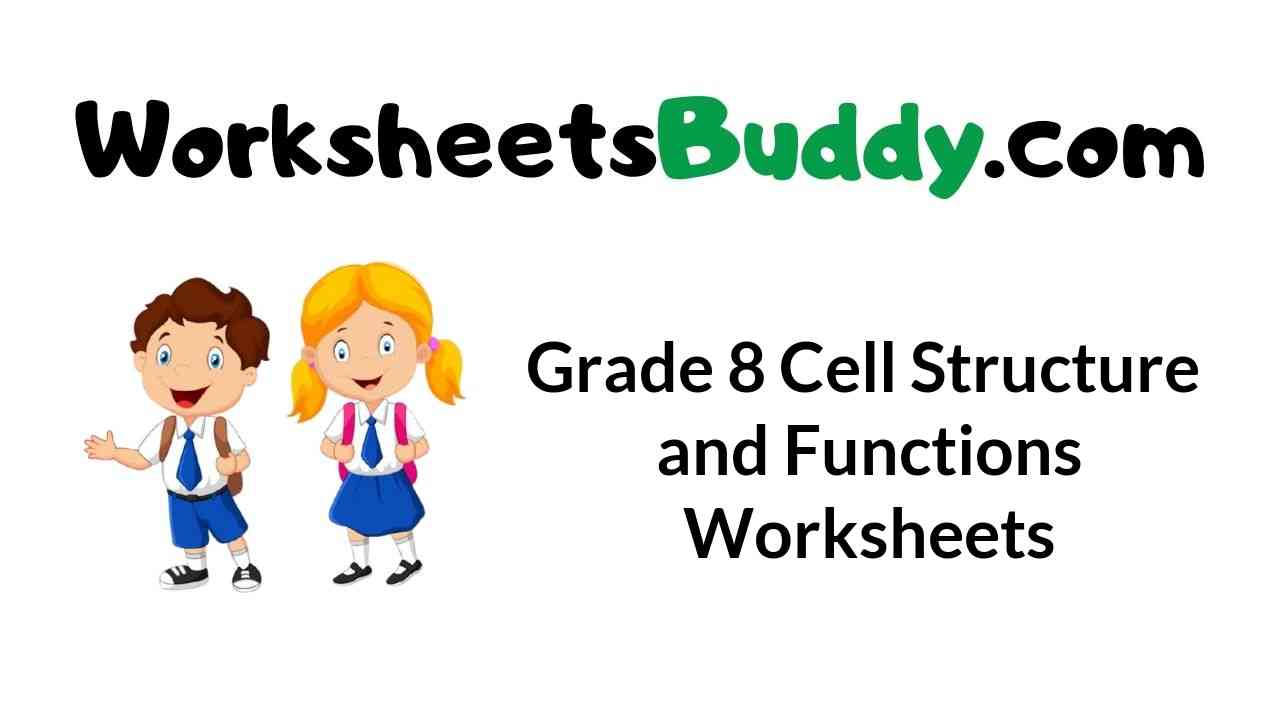 Grade 8 Cell Structure and Functions Worksheets - WorkSheets Buddy