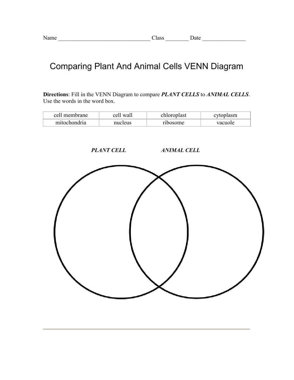 Comparing Animals Venn Diagram Worksheets - WorksheetsCity