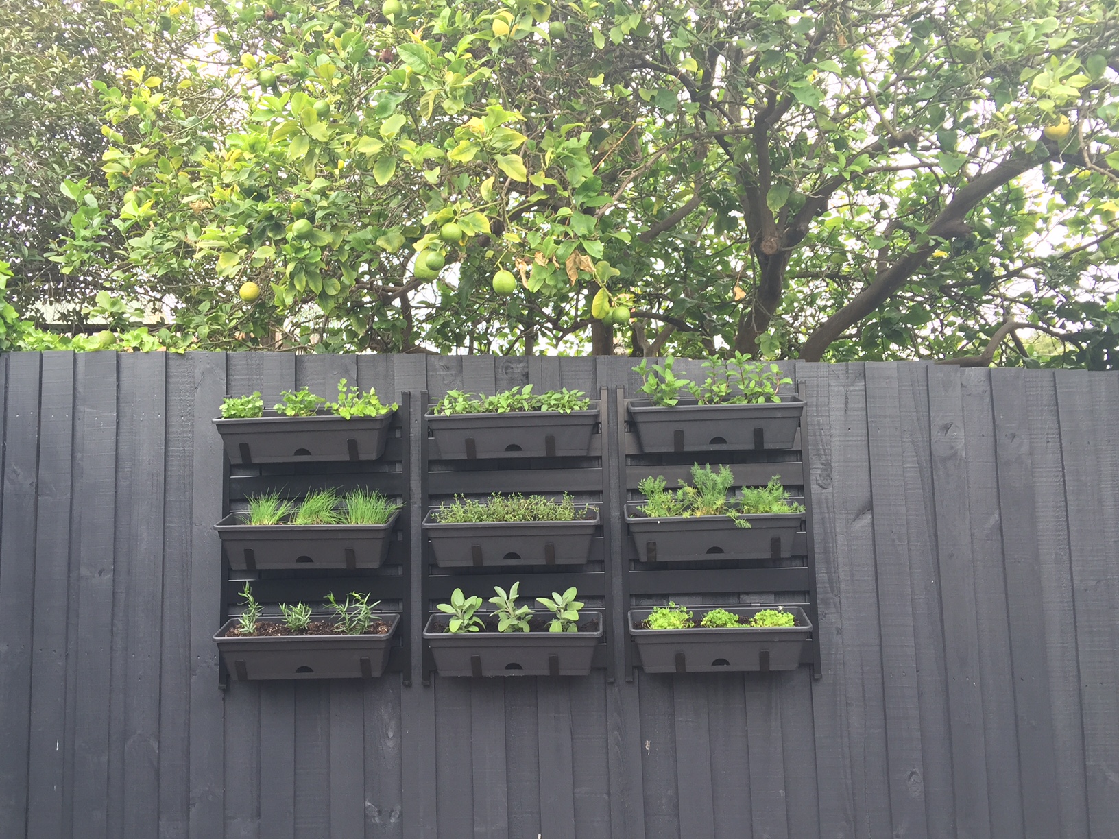 Vertical herb garden Bunnings community