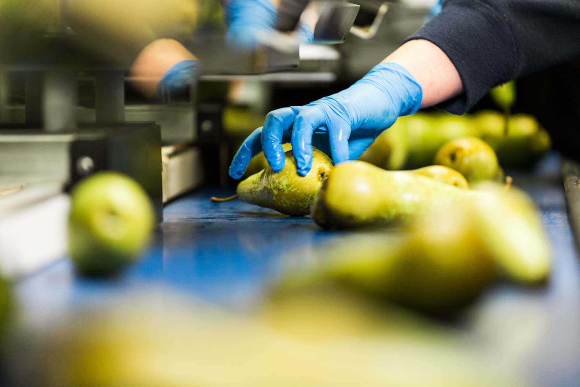 Production Employee Food Workstead