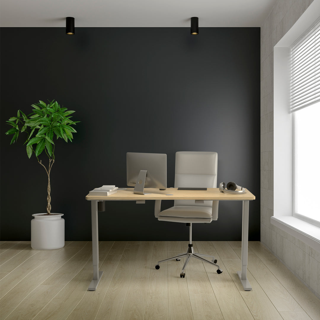 Progressive Desk Economy Ryzer Standing Desk Review