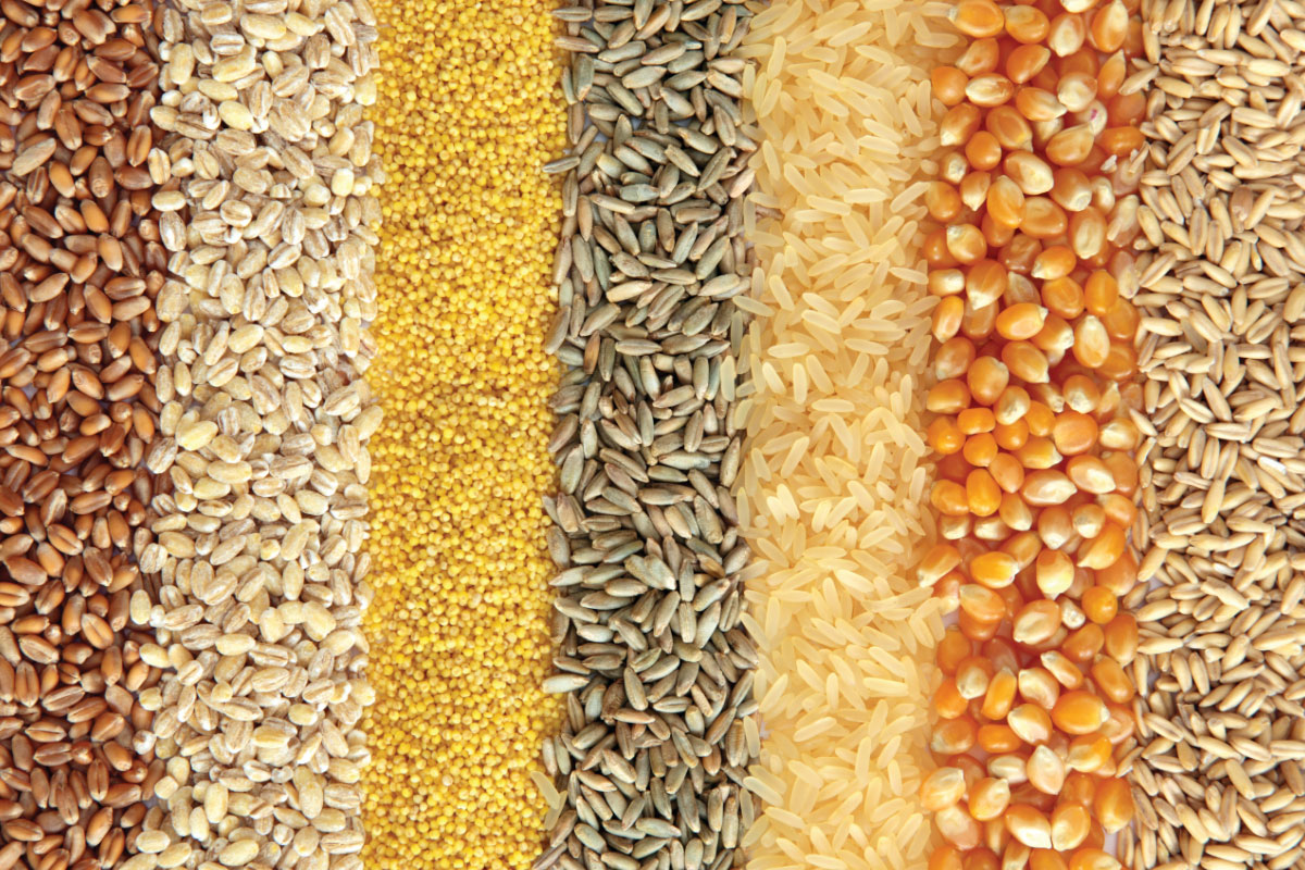Commodities World Grain