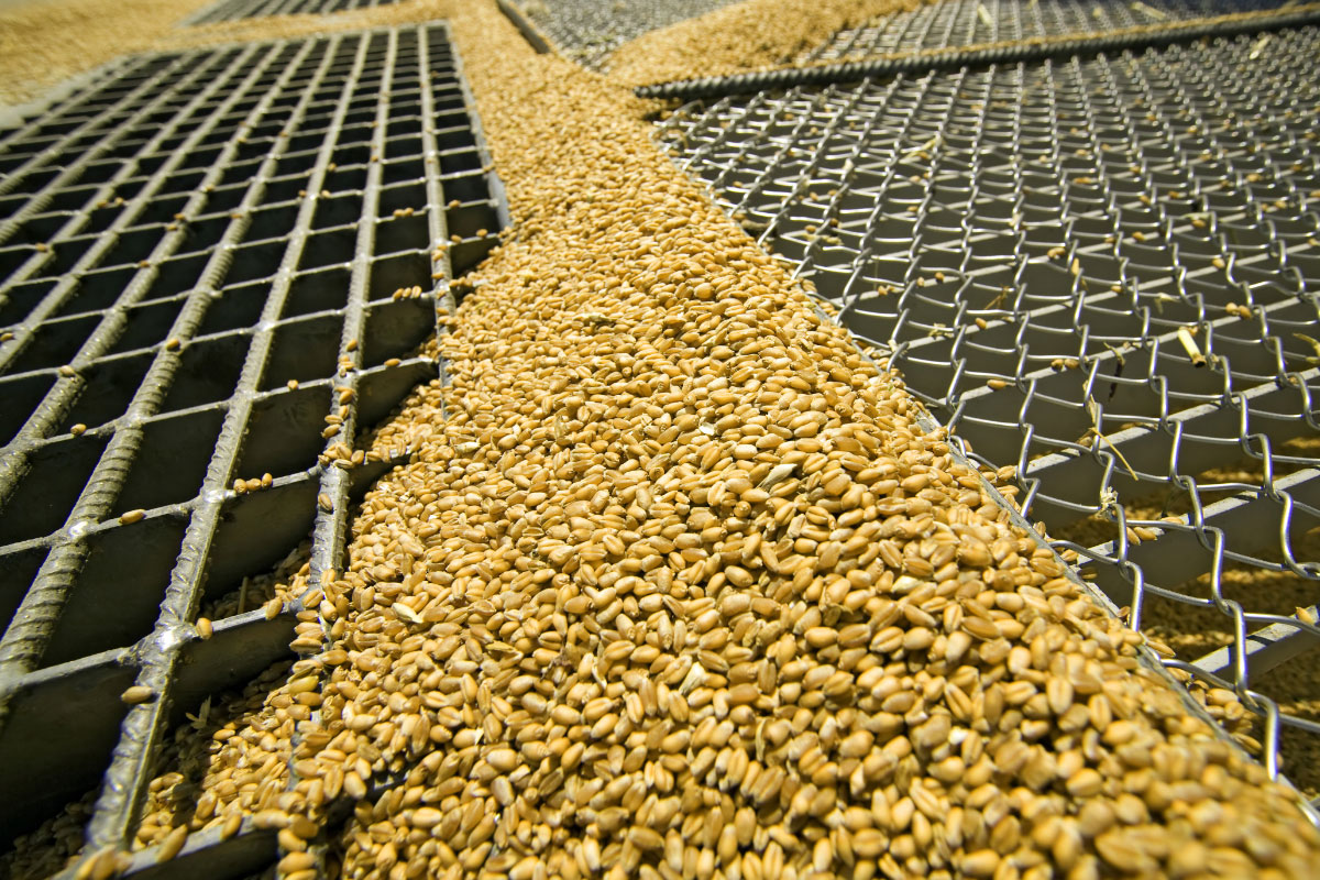 Grain Companies World Grain