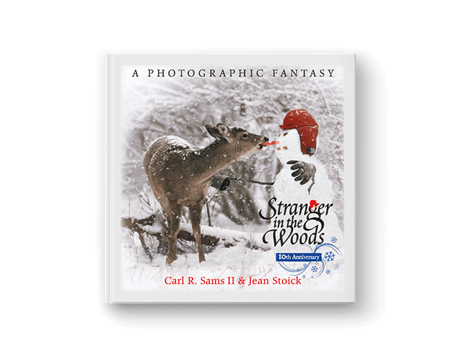 Lenticular Magazines, Catalogs, Brochures and Book Covers World3D